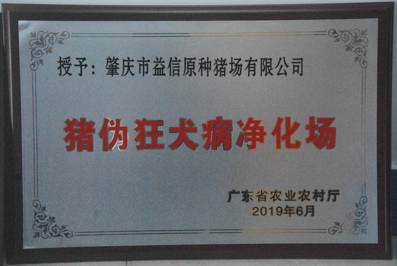 图片24.png