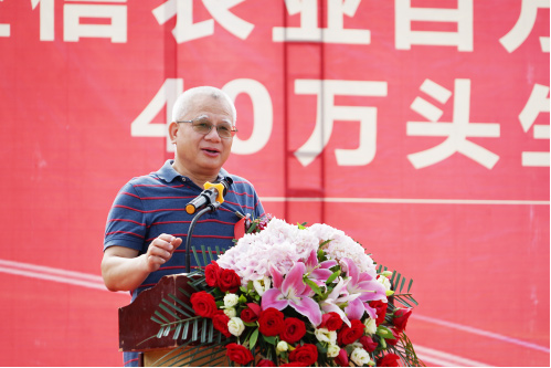 图片3.png 图片3.png